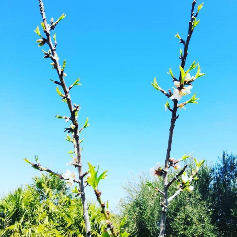 Al Palmento Cruillas 시라쿠사 외부 사진